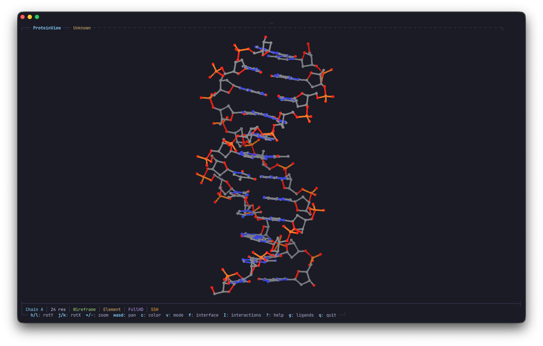 B-DNA double helix with element (CPK) coloring