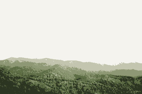 pycluster_kmeans image forest panorama