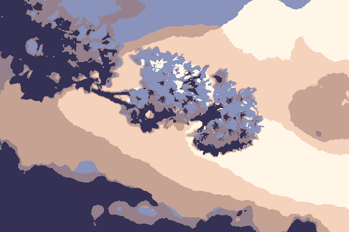 pycluster_kmedians image tree flower closeup