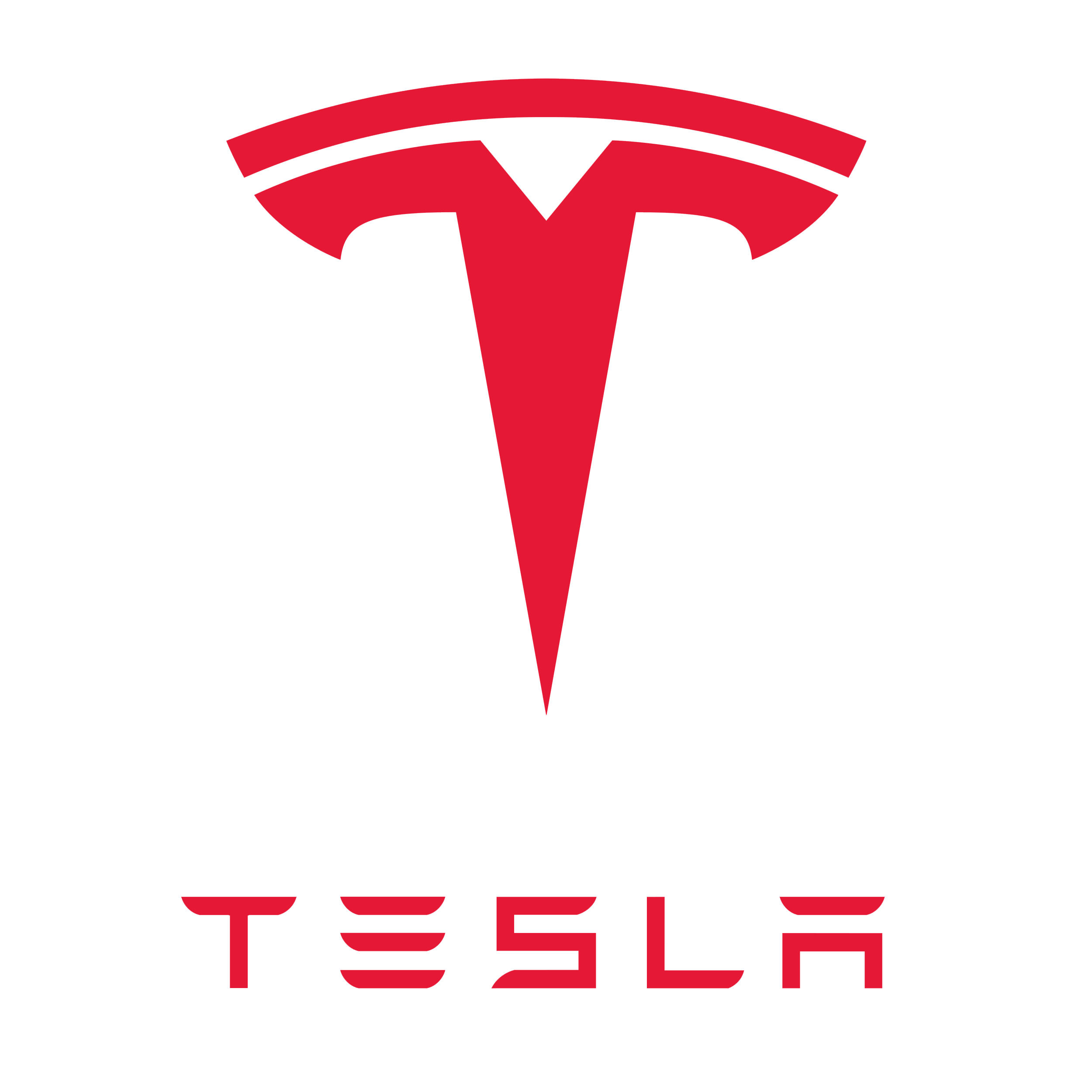 tesla-icon