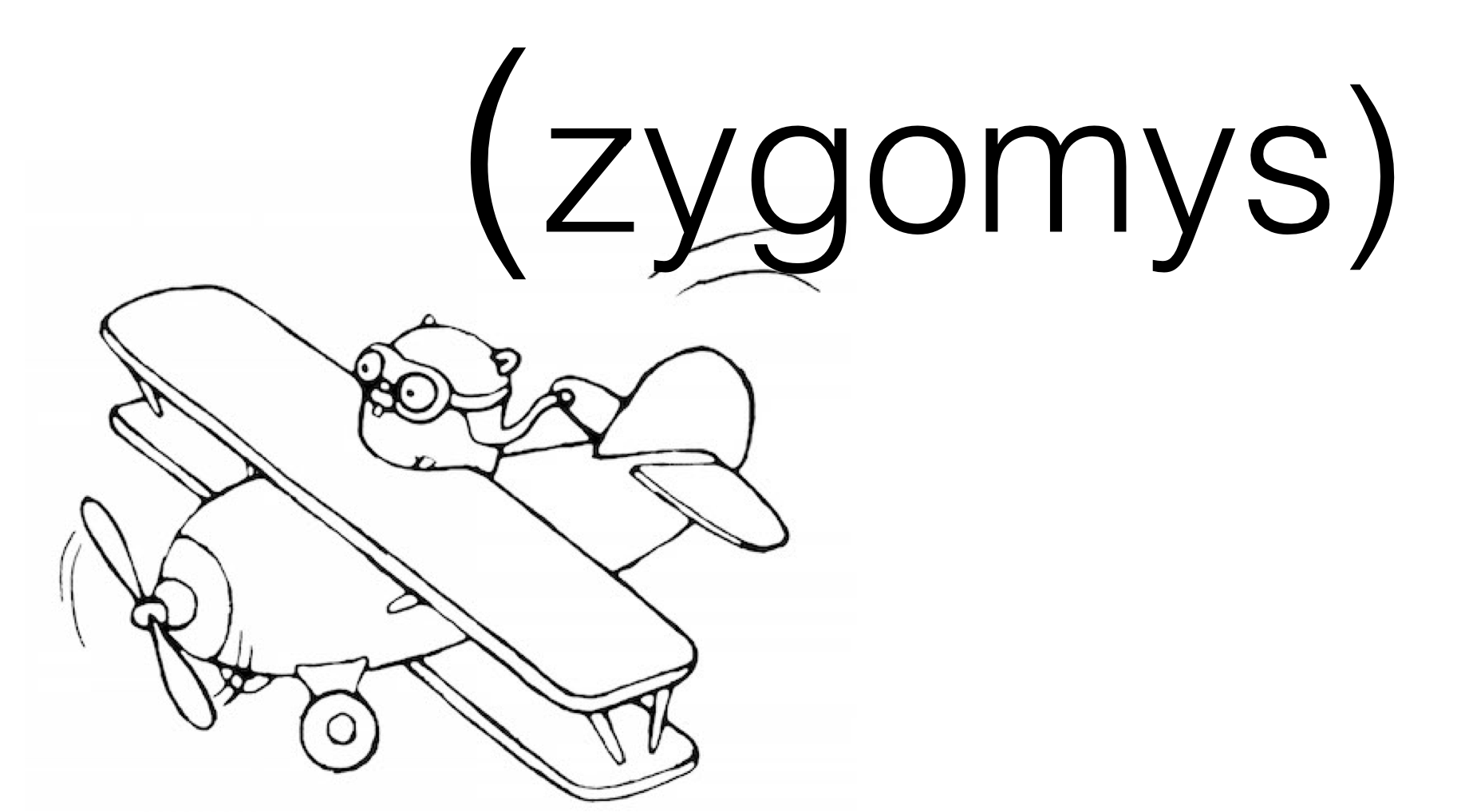 Image of Gopher flying