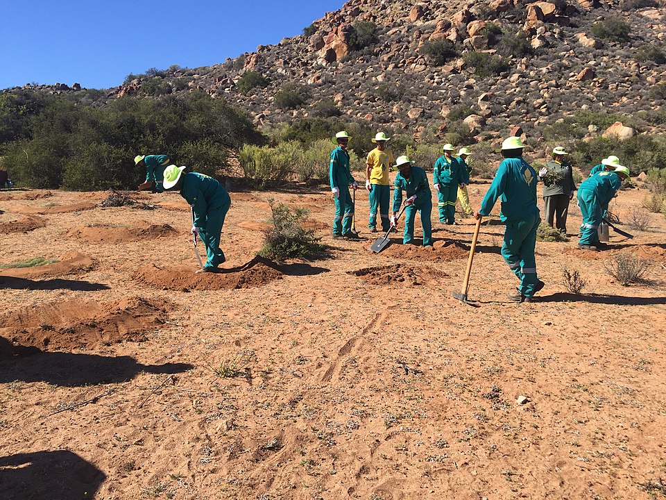 working with the soil